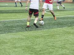 杨瀚森,克林根与武,切维奇的并,星力捕鱼平台,星力十代捕鱼游戏,正版星力捕鱼,星力捕鱼app