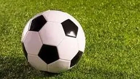 粤港交流再升级：广东四市私家车开放赴港