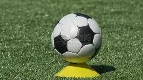 正版星力捕鱼 资讯 135621 ti3