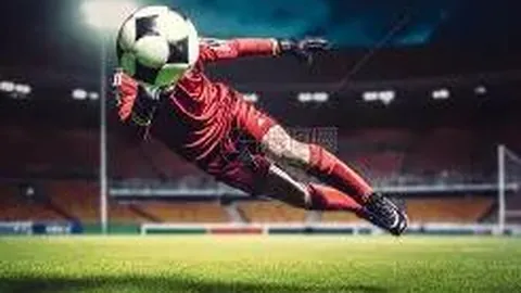 香港体育之光：新闻1+1深度解析