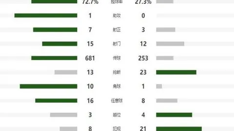 同胞欢聚龙舟情，亲情浓厚乐融融