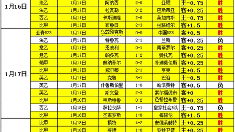 范迪克个人资料概述